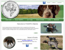 Fort Detroit German Wirehaired pointer club michigan