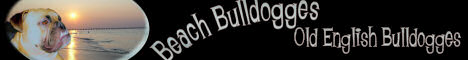 Website Designs for Breeders, Kennels, Veternarians, Groomers, Handlers