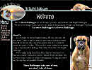 Website Designs for Breeders, Kennels, Veternarians, Groomers, Handlers