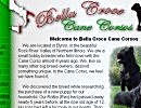 Bella Croce Cane Corso