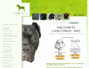 Cane Corso Information
