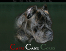 Capri Cane Corso
