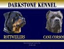 Darkstone Kennel - Rottweilers and Cane Corso