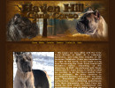 Cane Corso Breeder in Kentucky