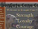 Irongate Cane Corso