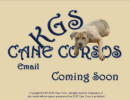 KGS Cane Corso