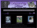 Painted by Dina - Painted pet portraits, pet angels, pet memorials