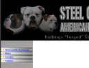Steel Curtain - American Bulldog Breeder