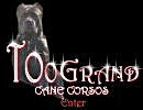 Too Grand Cane Corso