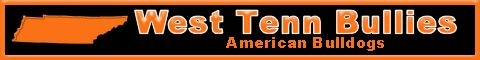 Website Designs for Breeders, Kennels, Veternarians, Groomers, Handlers