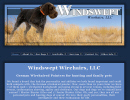 windswept wirehaired pointers